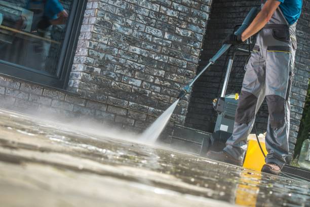 Best Building Exterior Washing  in Bevil Oaks, TX