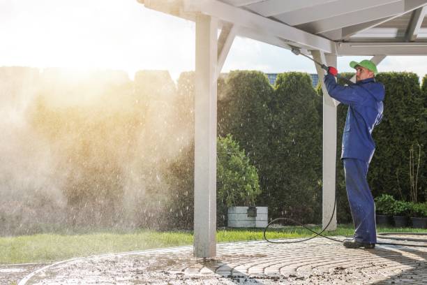 Best Solar Panel Cleaning  in Bevil Oaks, TX
