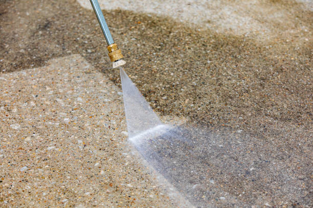 Best Driveway Pressure Washing  in Bevil Oaks, TX